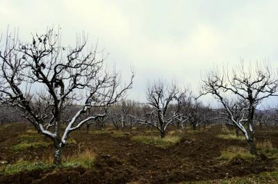 Прикрепленное изображение: _DSC3665 (Копировать).JPG